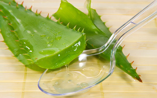 Trị nám sau khi sinh bằng nha đam